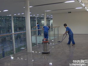 長沙保潔公司中泰家政 15年行業經驗，專業除四害服務